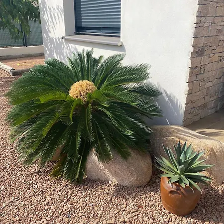 Villa Standing Arciquadra Porto Vecchio Lecci