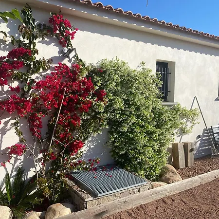 Villa Standing Arciquadra Porto Vecchio